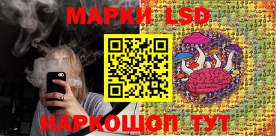 индика Аша