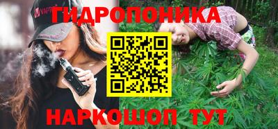 индика Аша