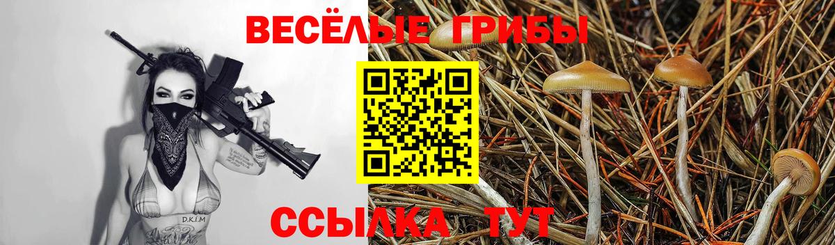 Псилоцибиновые грибы мицелий  Вход с VPN  купить наркотик  Выкса  Галлюциногенные грибы GOLDEN TEACHER 
